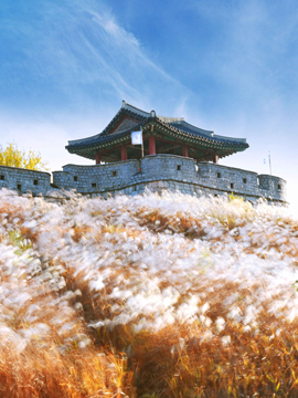 Suwon
