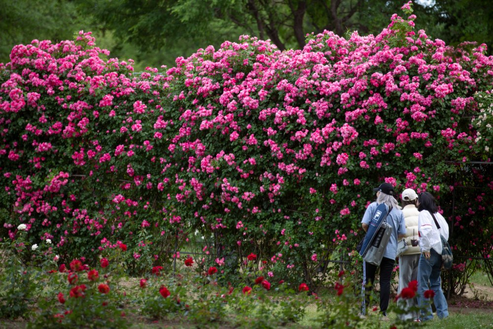 Yanghwa Hangang Park