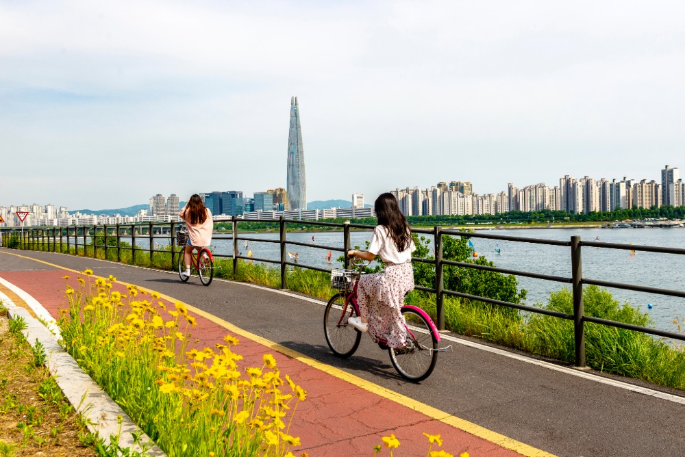 Han River Picnic