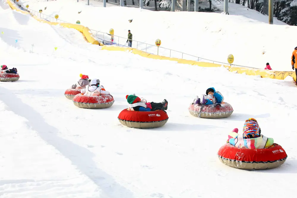 Ski Resort