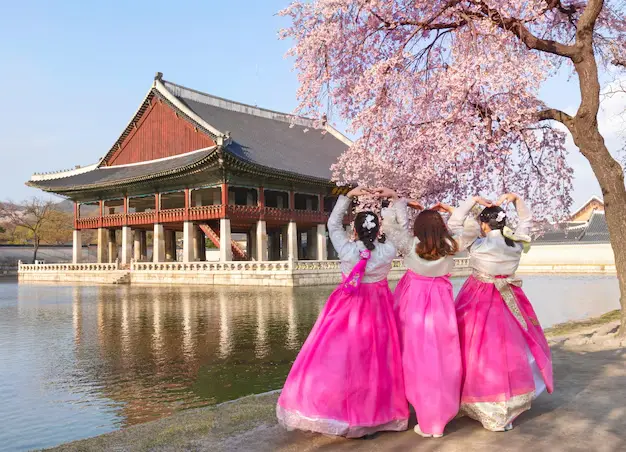 <span style="color: #e63e62">[4Seasons]</span><span style="color: #FFA9BB">[Spring]</span> Gyeongbokgung Palace