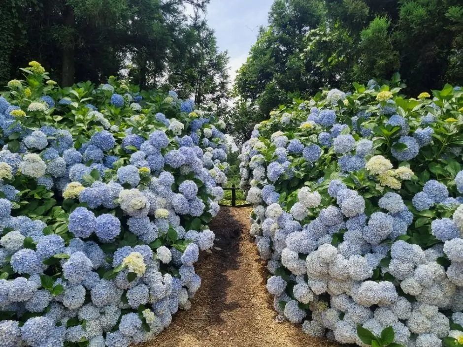 natureg