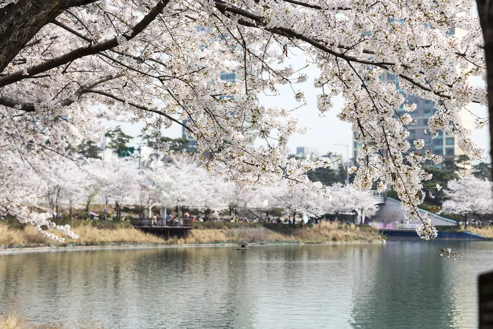 Seokchon Lake