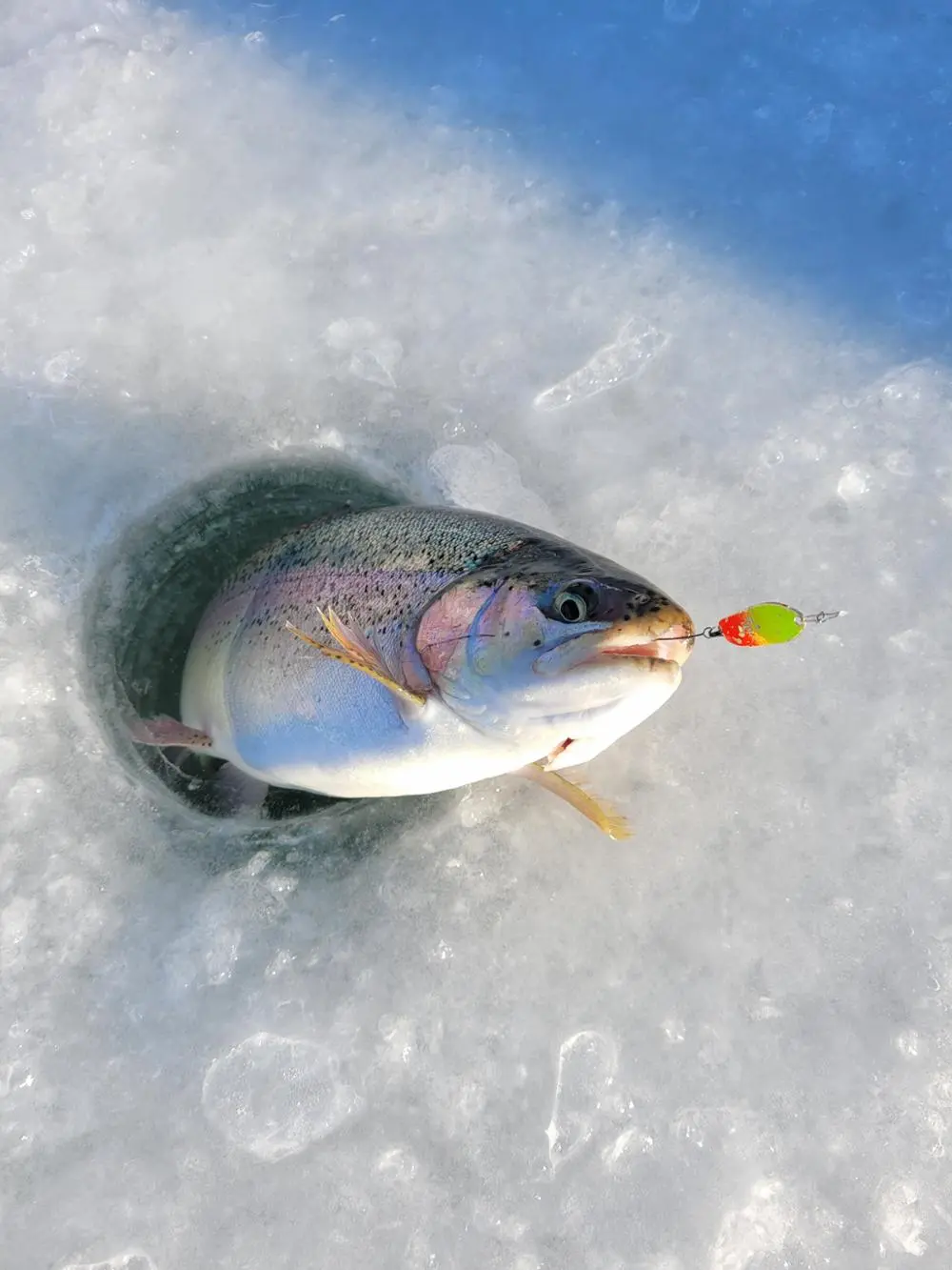 Hongcheon Ice Festival