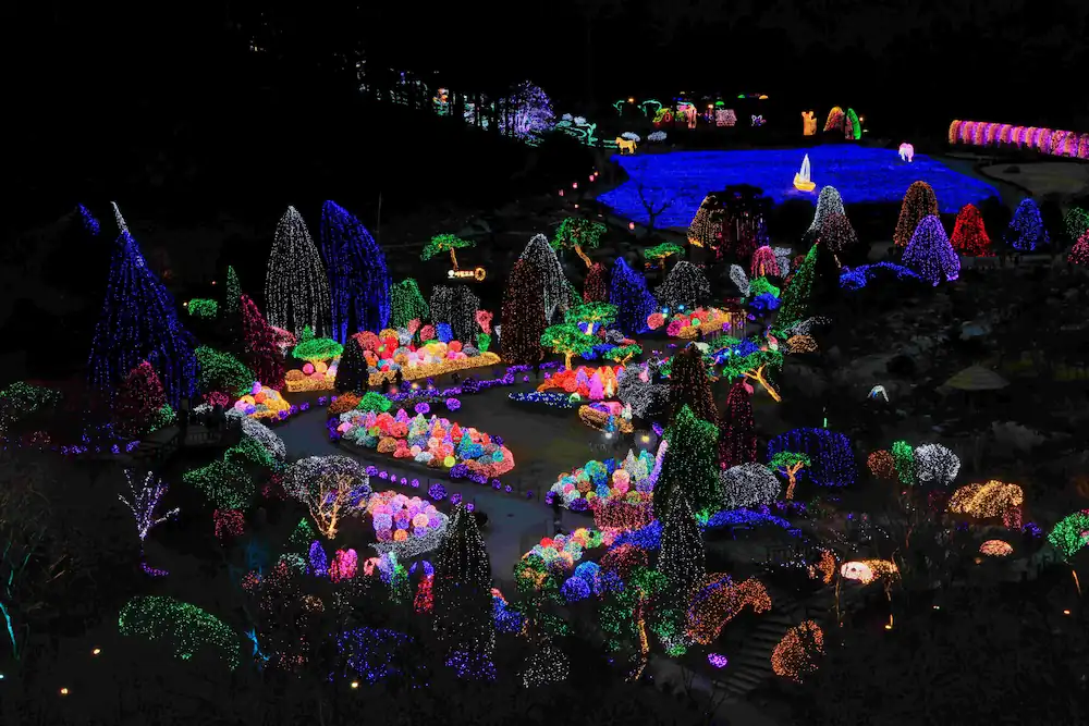 Garden of Morning Calm Lighting Festival